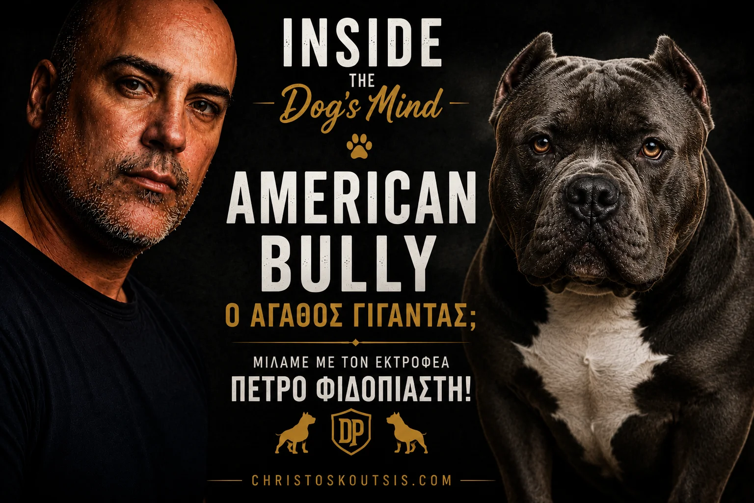 American-Bully