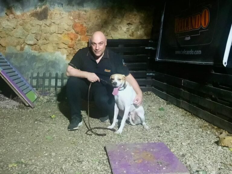 Γιατί ο σκύλος μου δεν με ακούει; Λάθη στην εκπαίδευση!