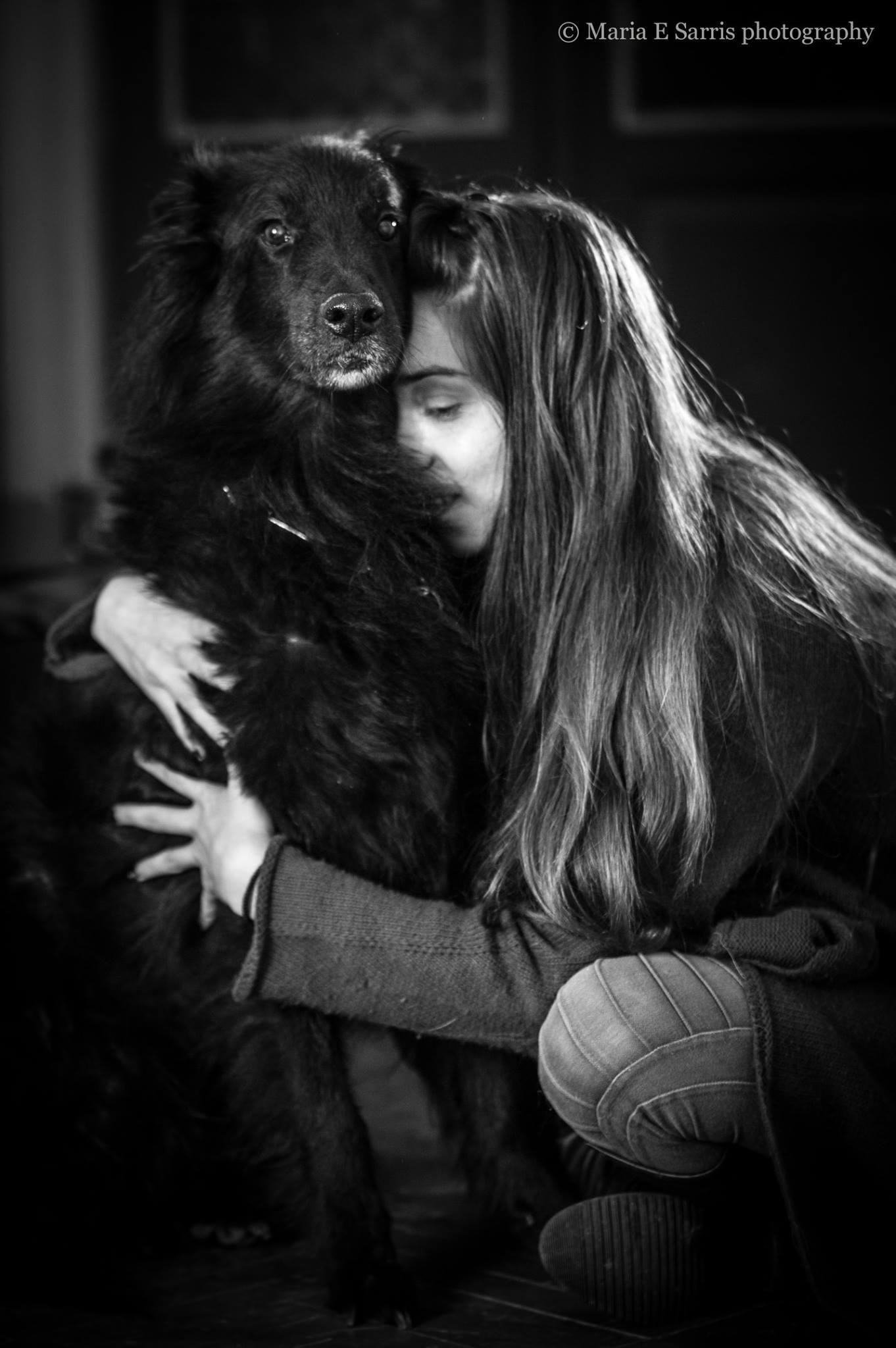 Σχέση ανθρώπου και σκύλου στην εκπαίδευση — Dog's Mind