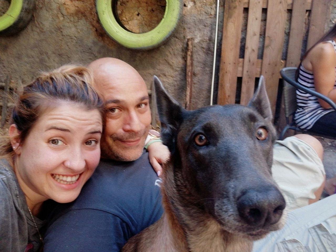 Dog’s Mind – Χρήστος Κούτσης – Εκπαίδευση σκύλων: ημίαιμοι και καθαρόαιμοι σκύλοι