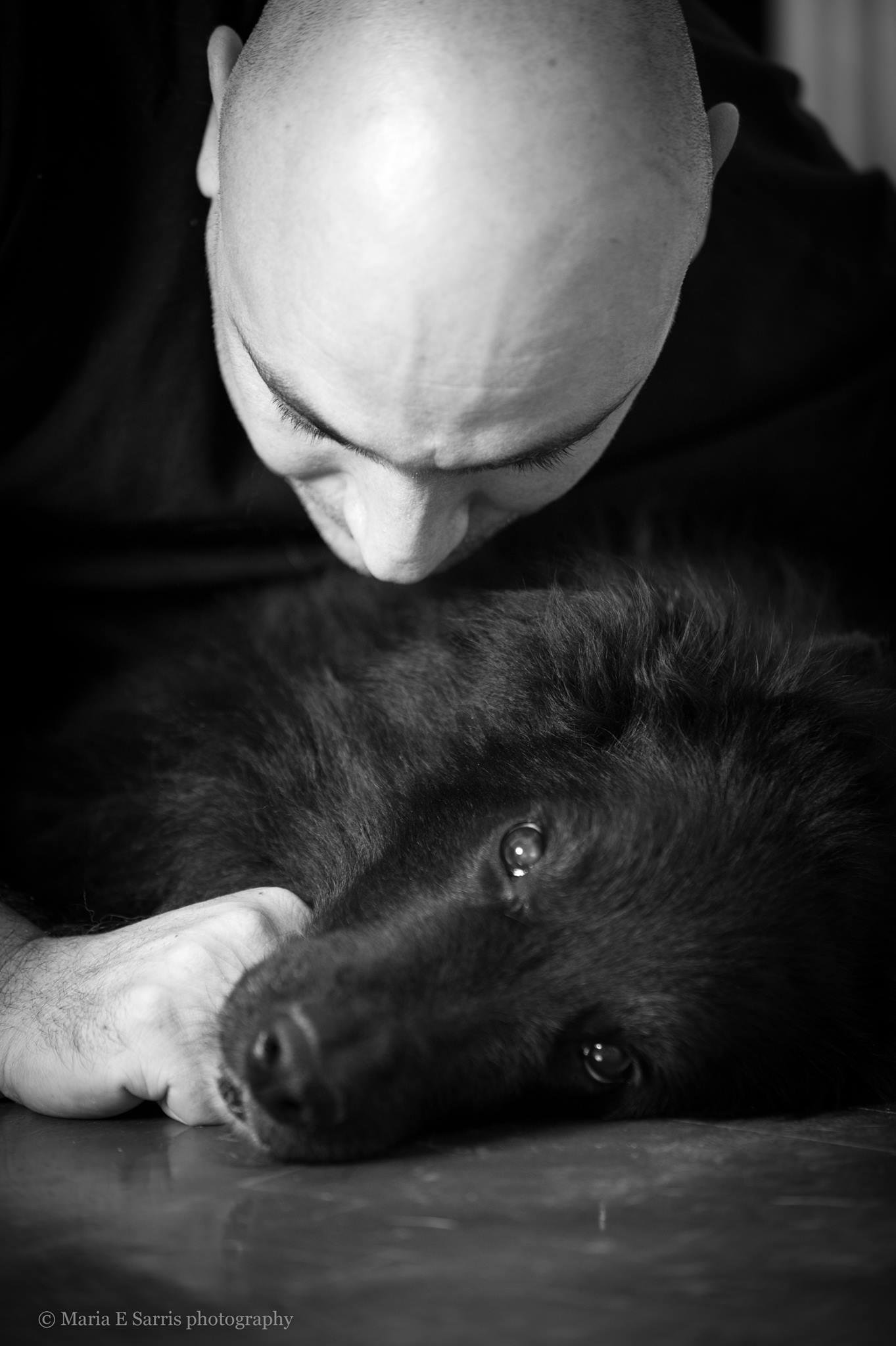 Dog’s Mind – Χρήστος Κούτσης – Εκπαίδευση σκύλων: ενσυναίσθηση και επικοινωνία με τον σκύλο