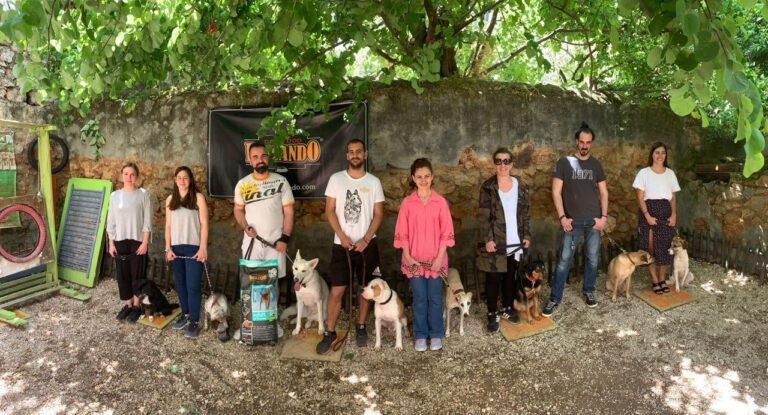 Christos Koutsis - Dog Training - dogsmind.gr