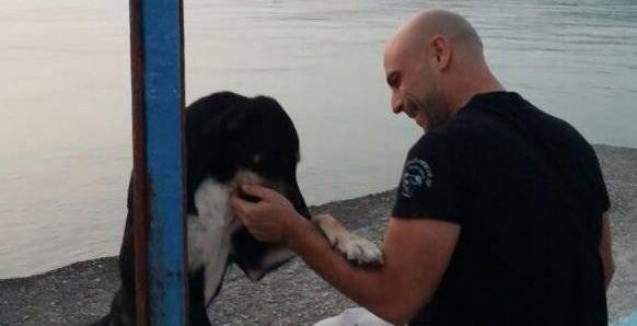 Dog’s Mind – Χρήστος Κούτσης – Εκπαίδευση σκύλων: σχέση επιβίωσης ανθρώπου και σκύλου