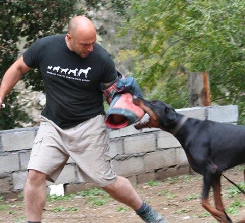 Dog’s Mind – Χρήστος Κούτσης – Εκπαίδευση σκύλων: παιχνίδι και πρότυπο του σκύλου