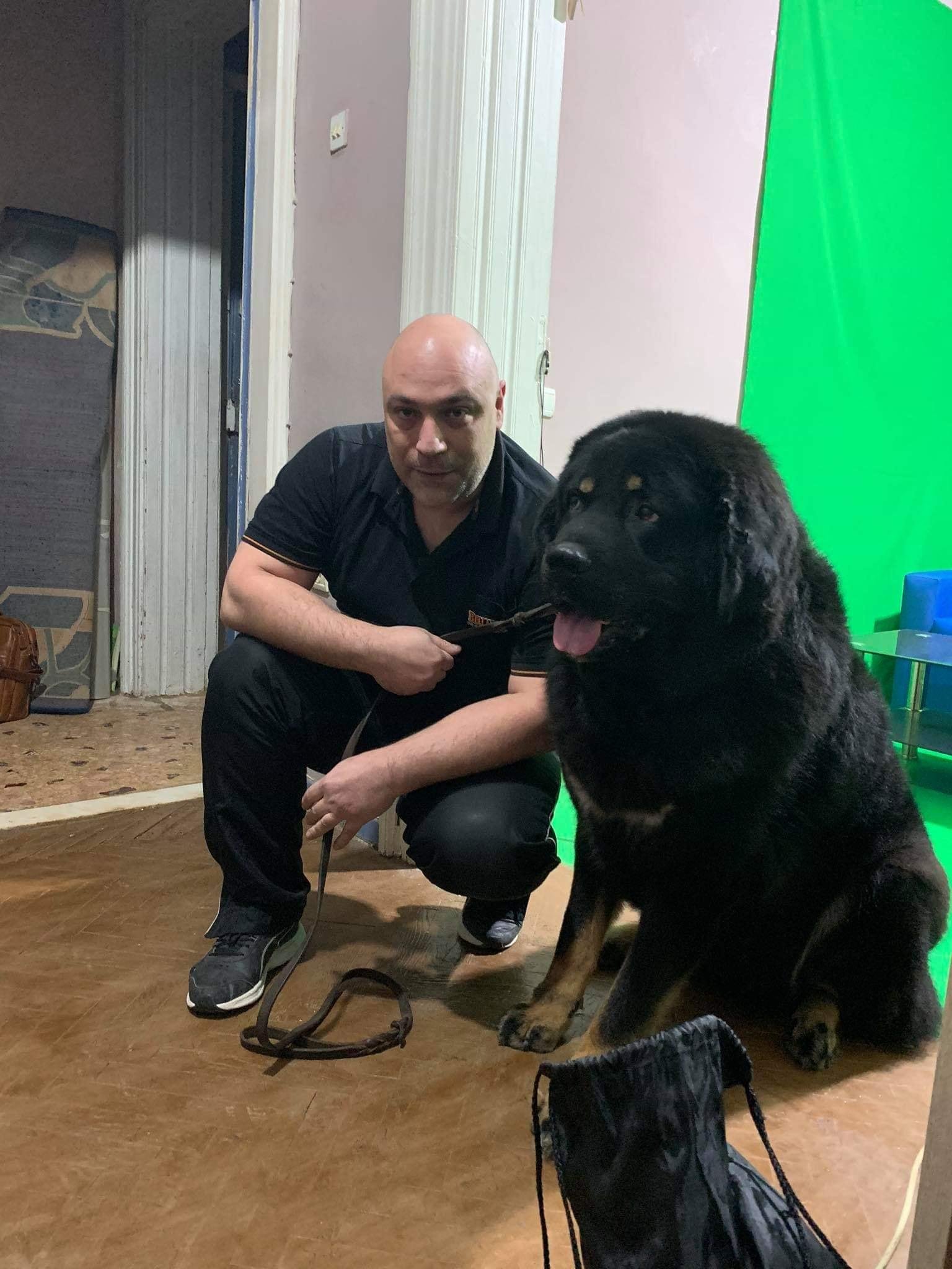 Dog’s Mind – Χρήστος Κούτσης – Εκπαίδευση σκύλων: σωστή επιλογή σκύλου