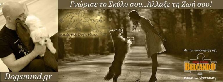 Ο αρχηγός της Αγέλης