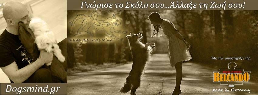 Ο αρχηγός της Αγέλης