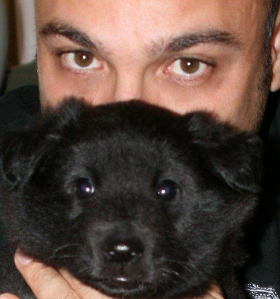 Dog’s Mind – Χρήστος Κούτσης – Εκπαίδευση σκύλων: κουτάβι, ασφάλεια και βασικοί κανόνες