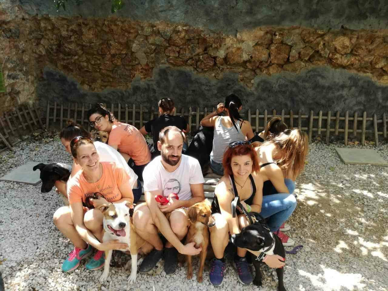 Χρήστος Κούτσης, επαγγελματίας εκπαιδευτής σκύλων Χρήστος Κούτσης, επαγγελματίας εκπαιδευτής σκύλων