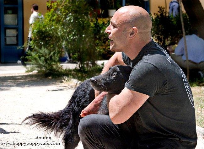Επιλογή σκύλου και σωστή καθοδήγηση – Χρήστος Κούτσης, εκπαιδευτής σκύλων Επιλογή σκύλου και σωστή καθοδήγηση – Χρήστος Κούτσης, εκπαιδευτής σκύλων