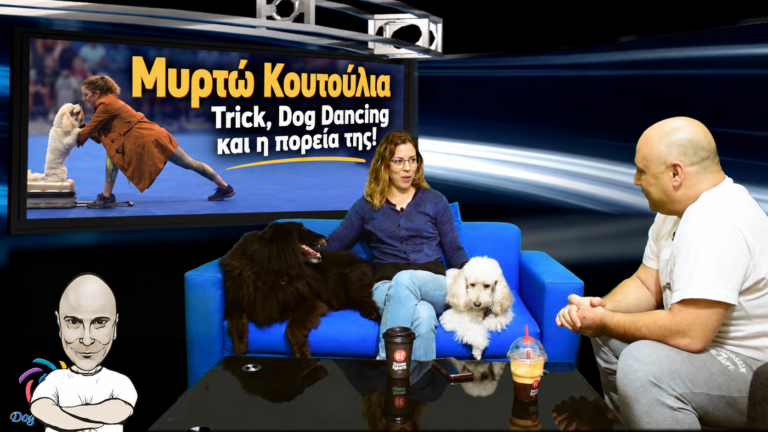Η Μυρτώ Κουτούλια συζητά με τον Χρήστο Κούτση στο στούντιο του Dog’s Mind για το Dog Dancing, με σκύλους δίπλα τους.