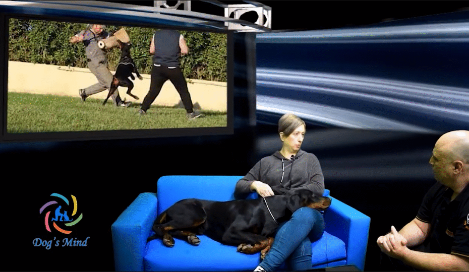 Doberman