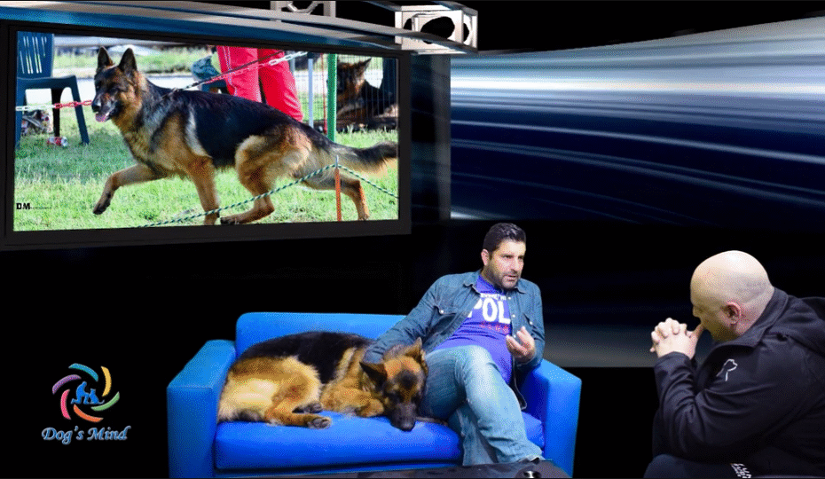 γερμανικός ποιμενικός εκπαίδευση σκύλων