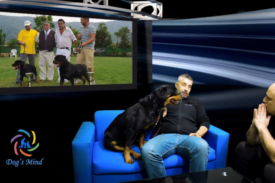 Rottweiler Ροτβάιλερ η φυλή από τον εκτροφέα Ευγένιο Σταυρόπουλο
