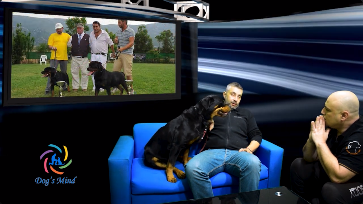 Rottweiler Ροτβάιλερ η φυλή από τον εκτροφέα Ευγένιο Σταυρόπουλο