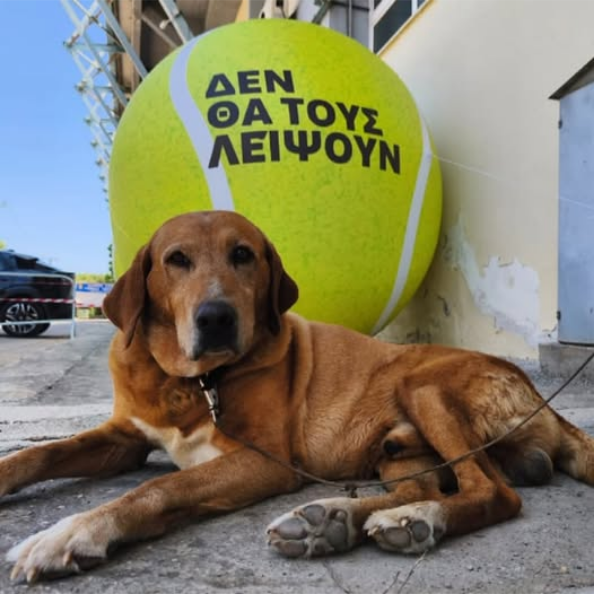 ZERO PAWJECT μας συκοφαντούν...!!! δεν θα τους λείψουν