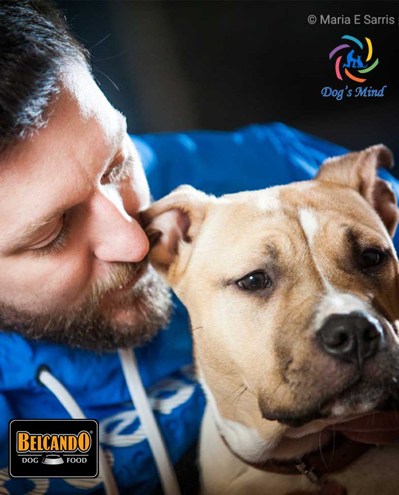 εκπαιδευτής σκύλων amstaff