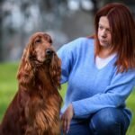 Ιρλανδικό Σέττερ Irish Setter συνέντευξη με την εκτροφέα Βαρβάρα Καλμπένη!