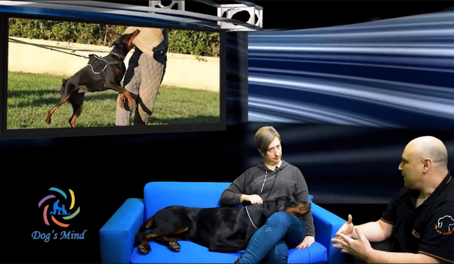 ντόμπερμαν εκπαίδευση σκύλων