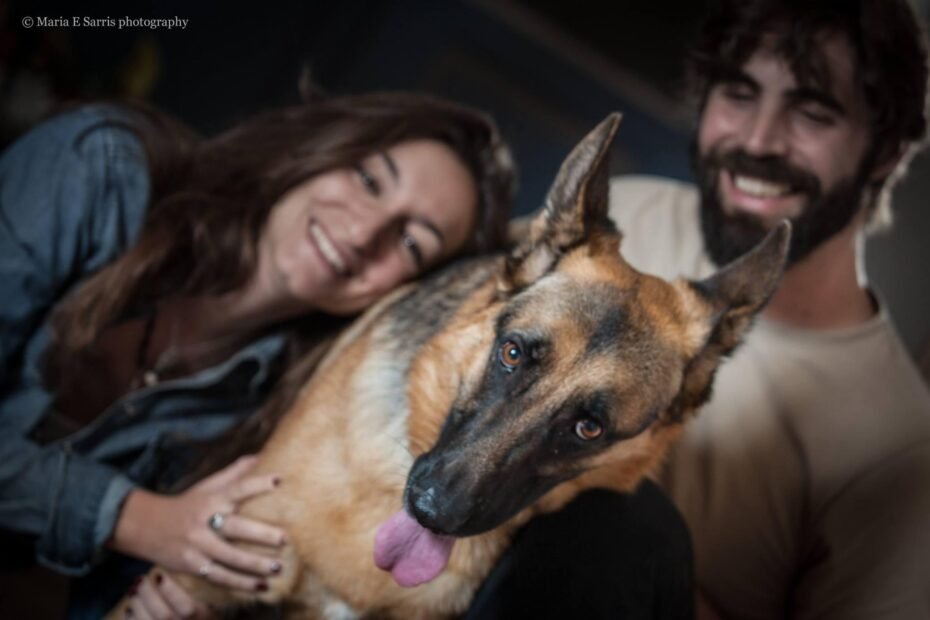 εκπαίδευση σκύλων συχνά λάθη