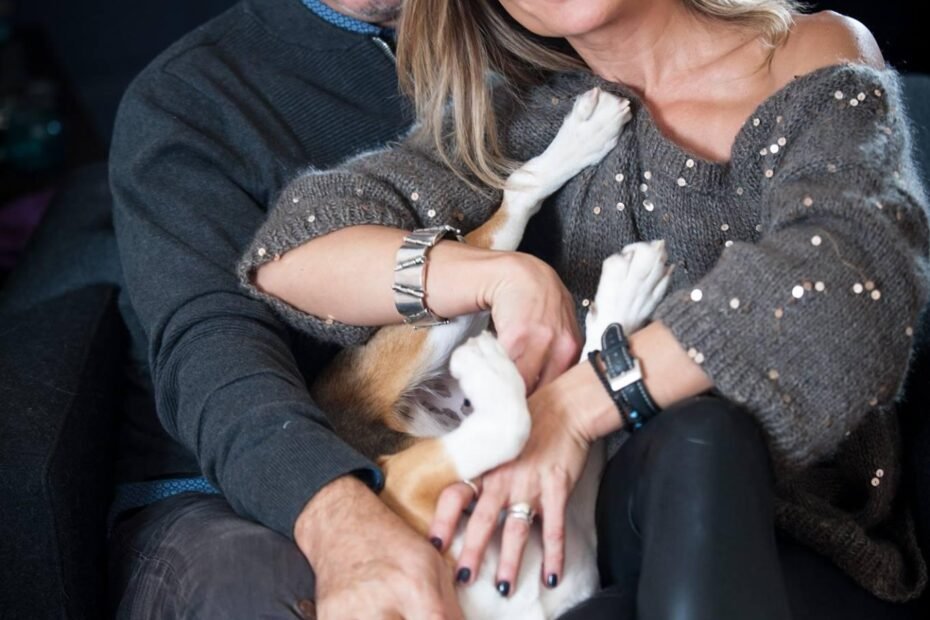 εκπαίδευση σκύλων beagle