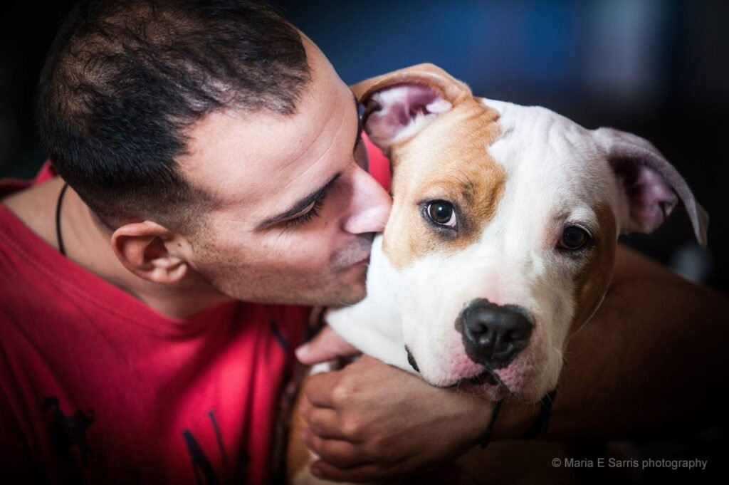 Άντρας φιλάει σκύλο ράτσας American Staffordshire στο πρόσωπο, δείχνοντας τρυφερότητα και αγάπη