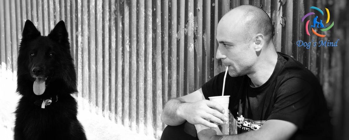 σκύλος groenendael, εκπαίδευση σκύλων, Χρήστος Κούτσης