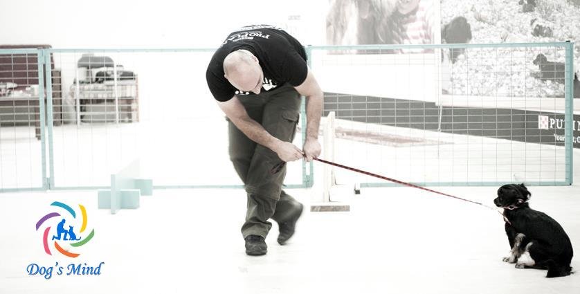 θετική εκπαίδευση