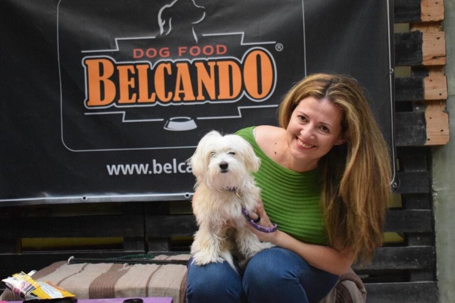 εκπαίδευση σκύλων παιχνίδι