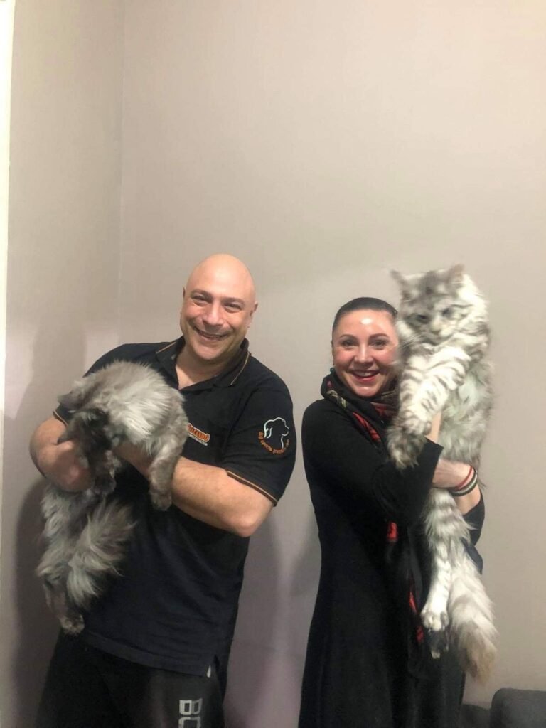 εκπαίδευση σκύλων
