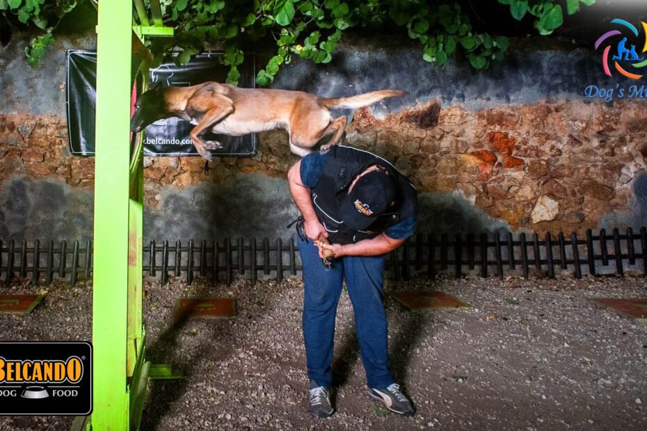Χρήστος Κούτσης εκπαιδευτής σκύλων malinois μαλινουά