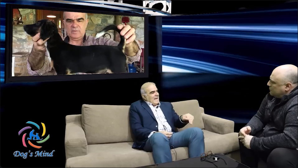 εκπαίδευση σκύλου κοκόνι